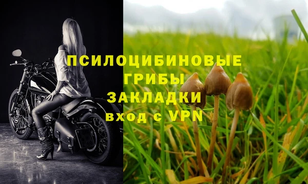 твердый Абаза