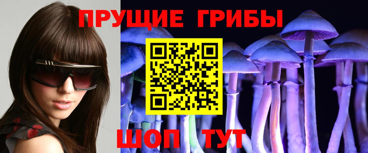 купить наркотик  Галлюциногенные грибы прущие грибы  Галлюциногенные грибы Magic Shrooms  Вход с VPN  Калининград 