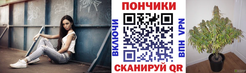 Конопля ГИДРОПОН  hydra ТОР  Калининград 